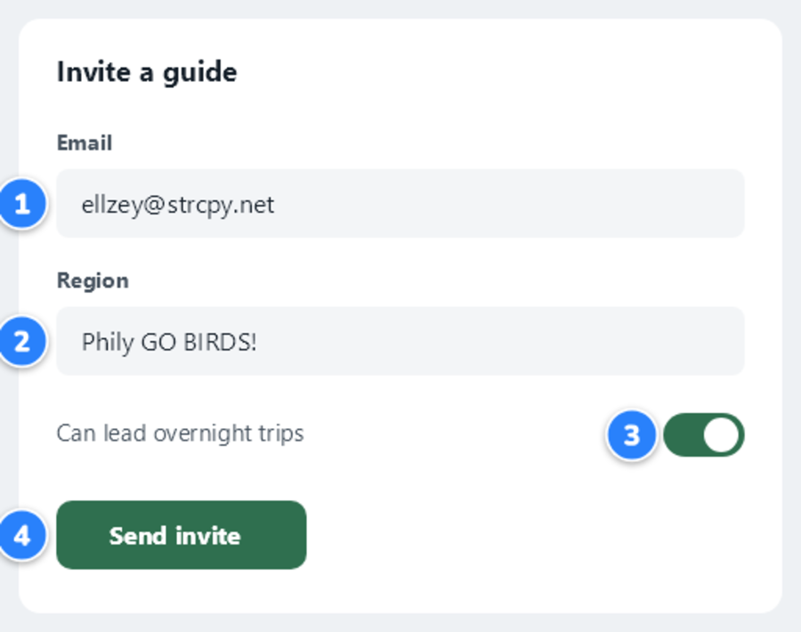 An invite form with numbered steps 1 to 4 beside the email field, the region, the overnight switch and the Send invite button.